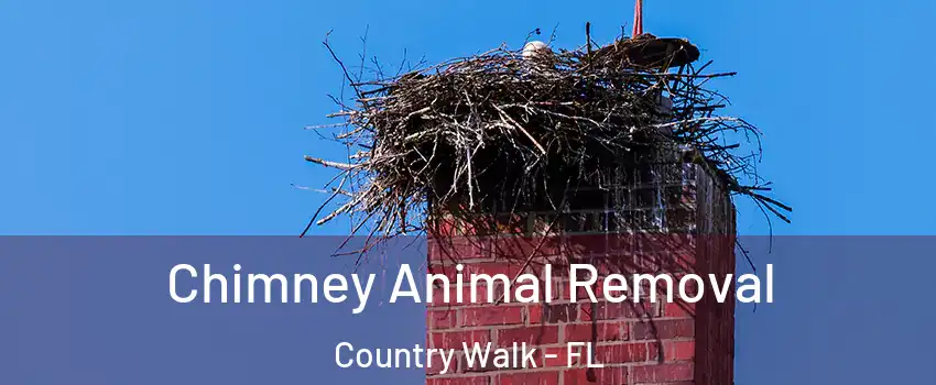  Chimney Animal Removal Country Walk - FL