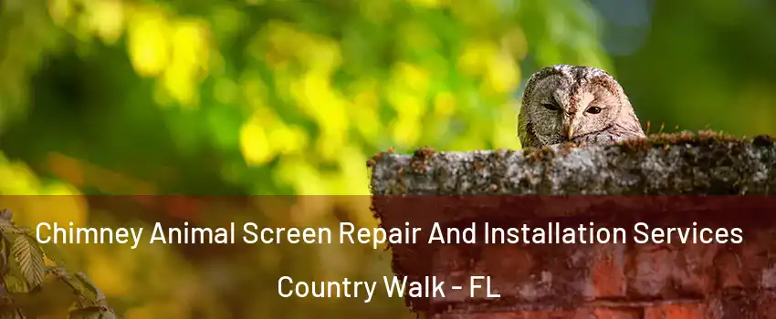  Chimney Animal Screen Repair And Installation Services Country Walk - FL