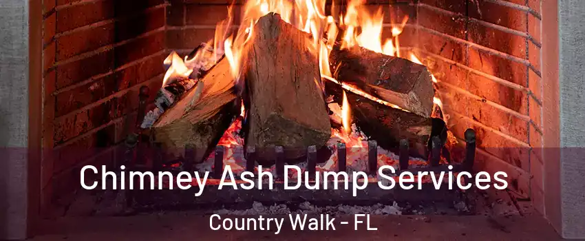  Chimney Ash Dump Services Country Walk - FL