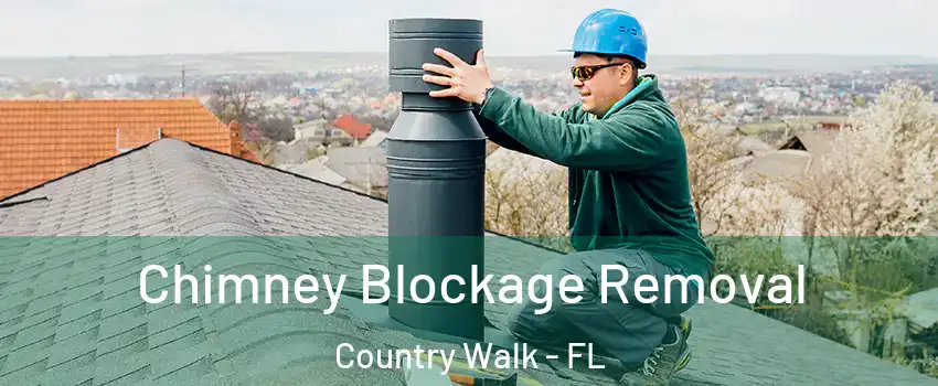  Chimney Blockage Removal Country Walk - FL