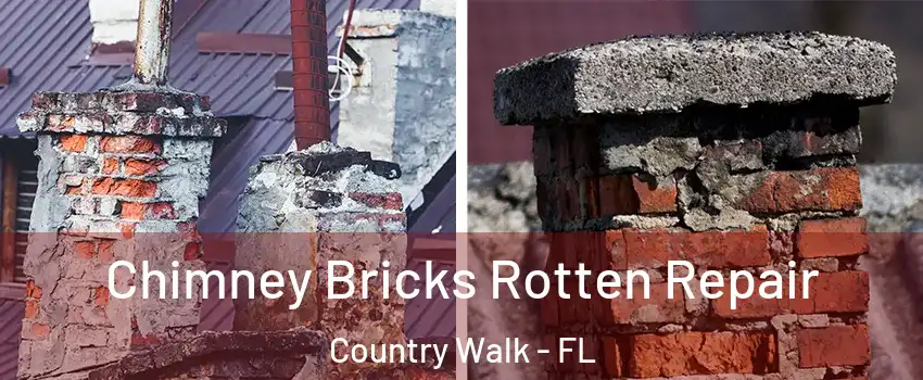  Chimney Bricks Rotten Repair Country Walk - FL