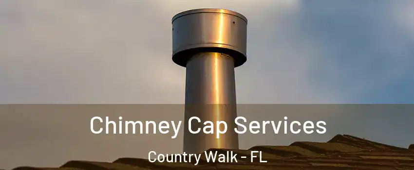  Chimney Cap Services Country Walk - FL