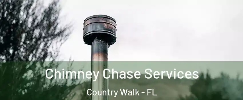 Chimney Chase Services Country Walk - FL