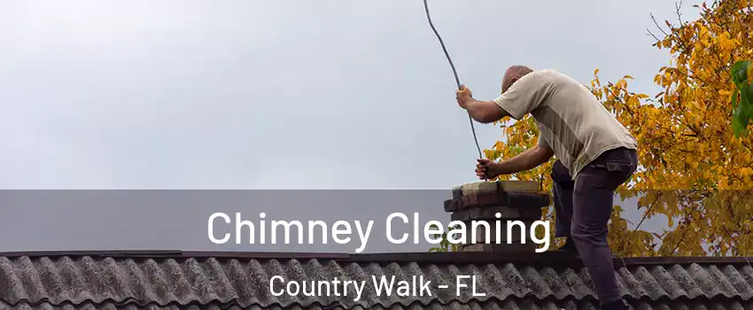  Chimney Cleaning Country Walk - FL