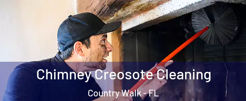  Chimney Creosote Cleaning Country Walk - FL