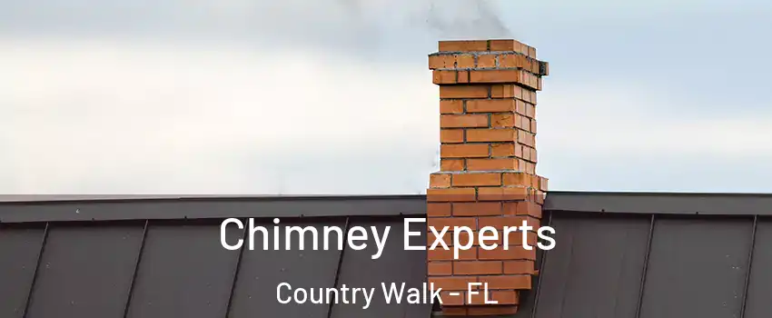  Chimney Experts Country Walk - FL