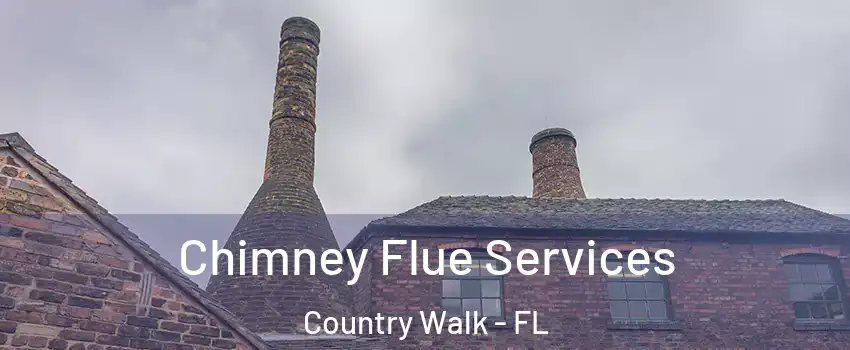  Chimney Flue Services Country Walk - FL