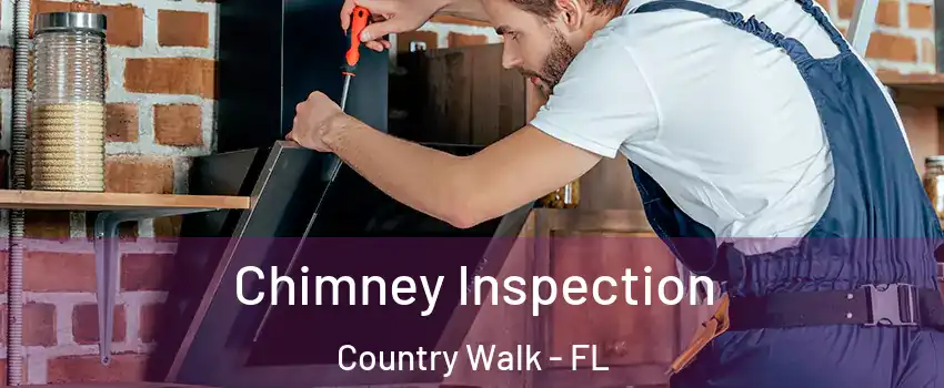  Chimney Inspection Country Walk - FL