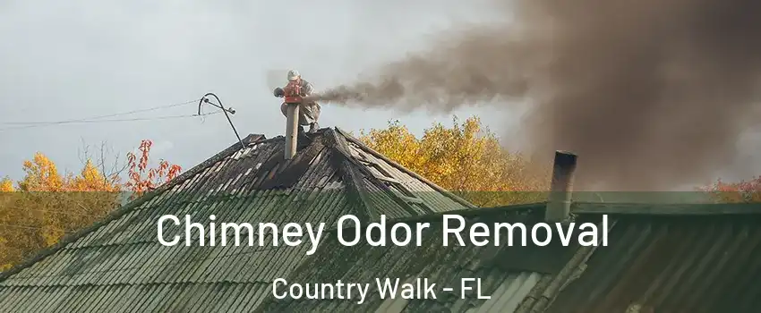  Chimney Odor Removal Country Walk - FL