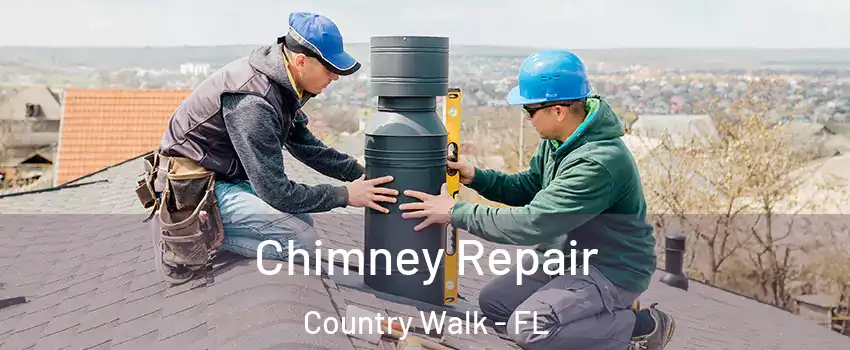  Chimney Repair Country Walk - FL