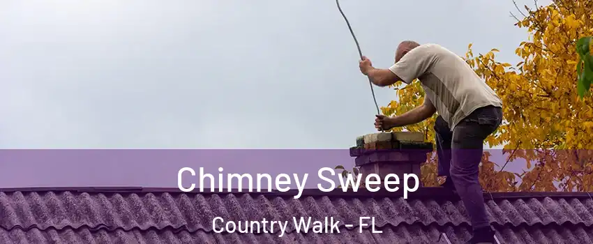  Chimney Sweep Country Walk - FL