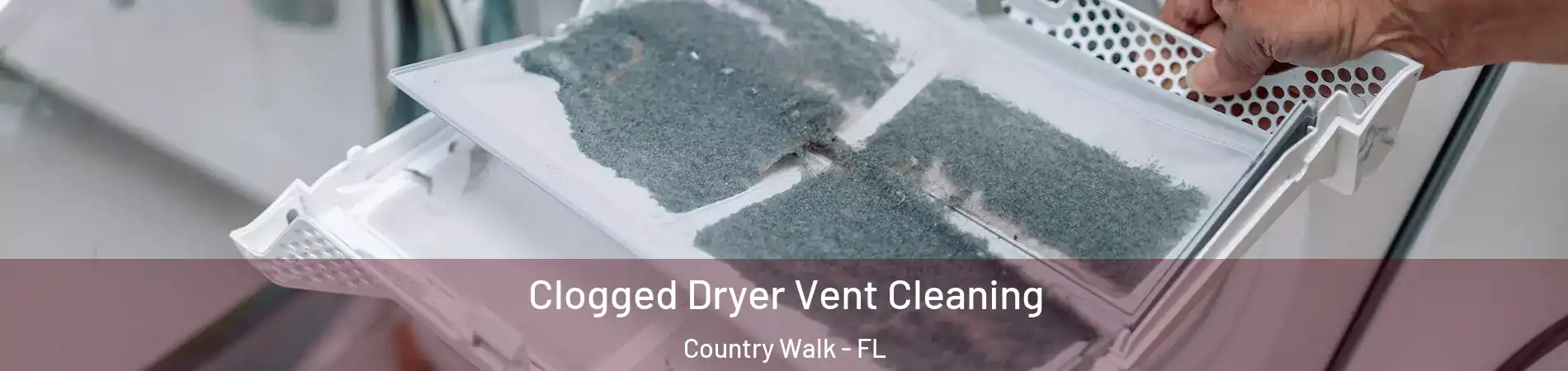  Clogged Dryer Vent Cleaning Country Walk - FL