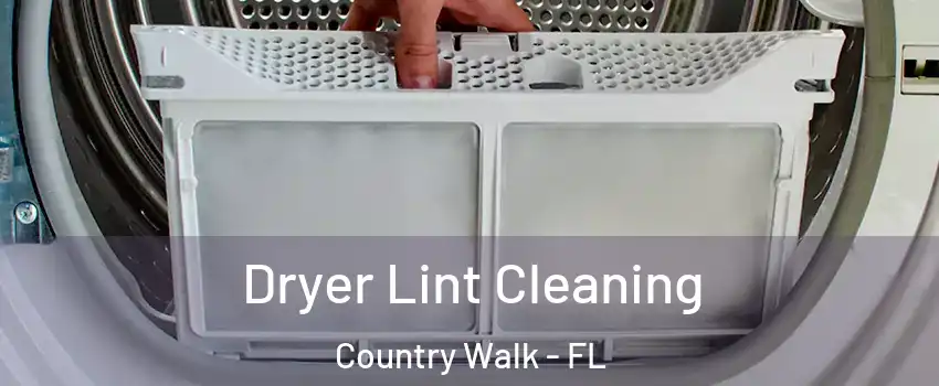 Dryer Lint Cleaning Country Walk - FL