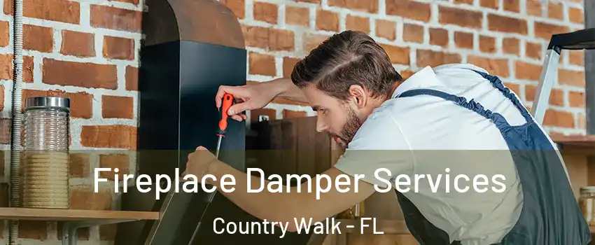 Fireplace Damper Services Country Walk - FL