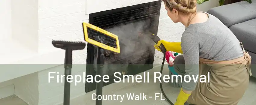  Fireplace Smell Removal Country Walk - FL