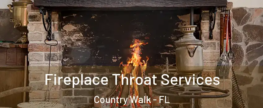  Fireplace Throat Services Country Walk - FL