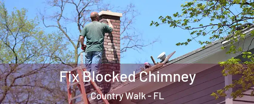  Fix Blocked Chimney Country Walk - FL