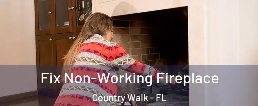  Fix Non-Working Fireplace Country Walk - FL