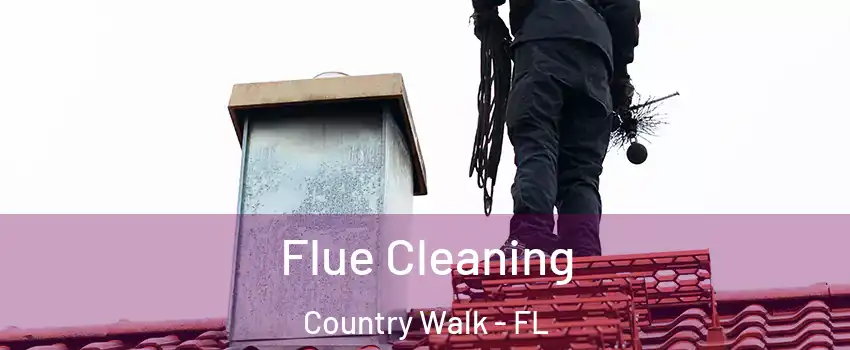  Flue Cleaning Country Walk - FL