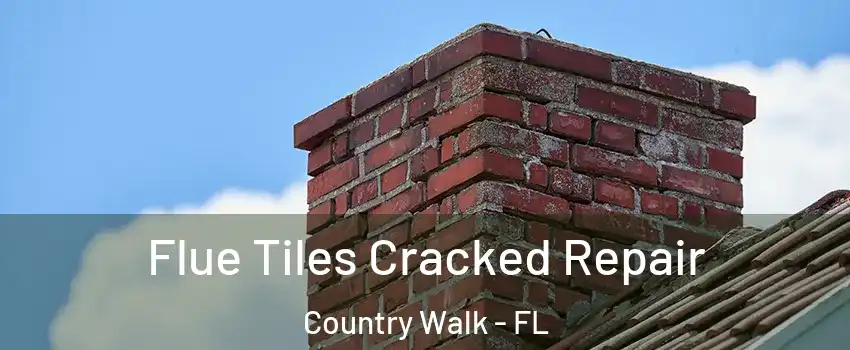  Flue Tiles Cracked Repair Country Walk - FL