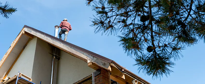 Birds Removal Contractors from Chimney in Country Walk, FL