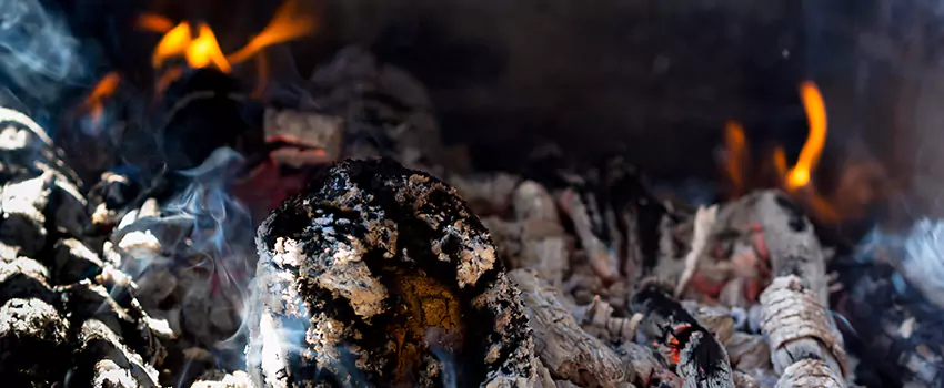 Creosote Removal Experts in Country Walk, FL