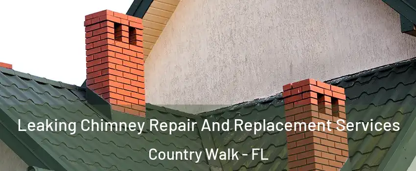 Leaking Chimney Repair And Replacement Services Country Walk - FL