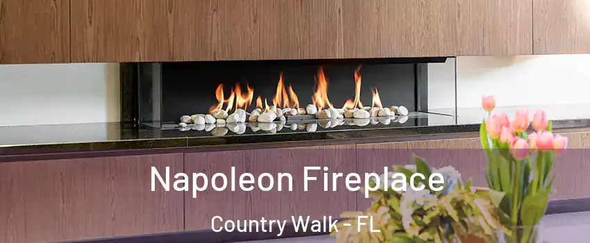  Napoleon Fireplace Country Walk - FL