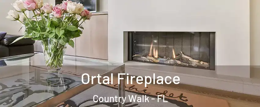  Ortal Fireplace Country Walk - FL