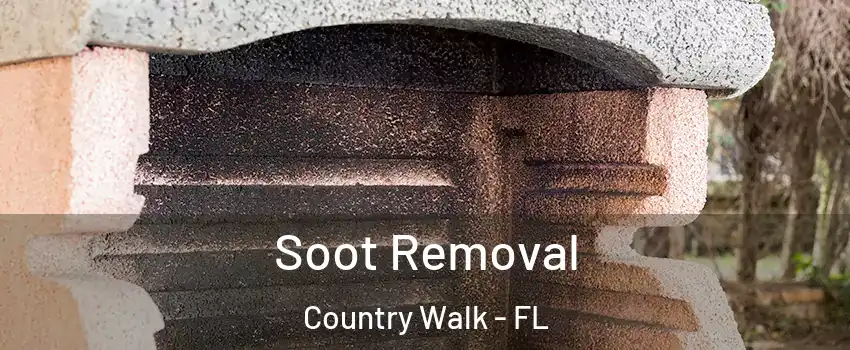  Soot Removal Country Walk - FL